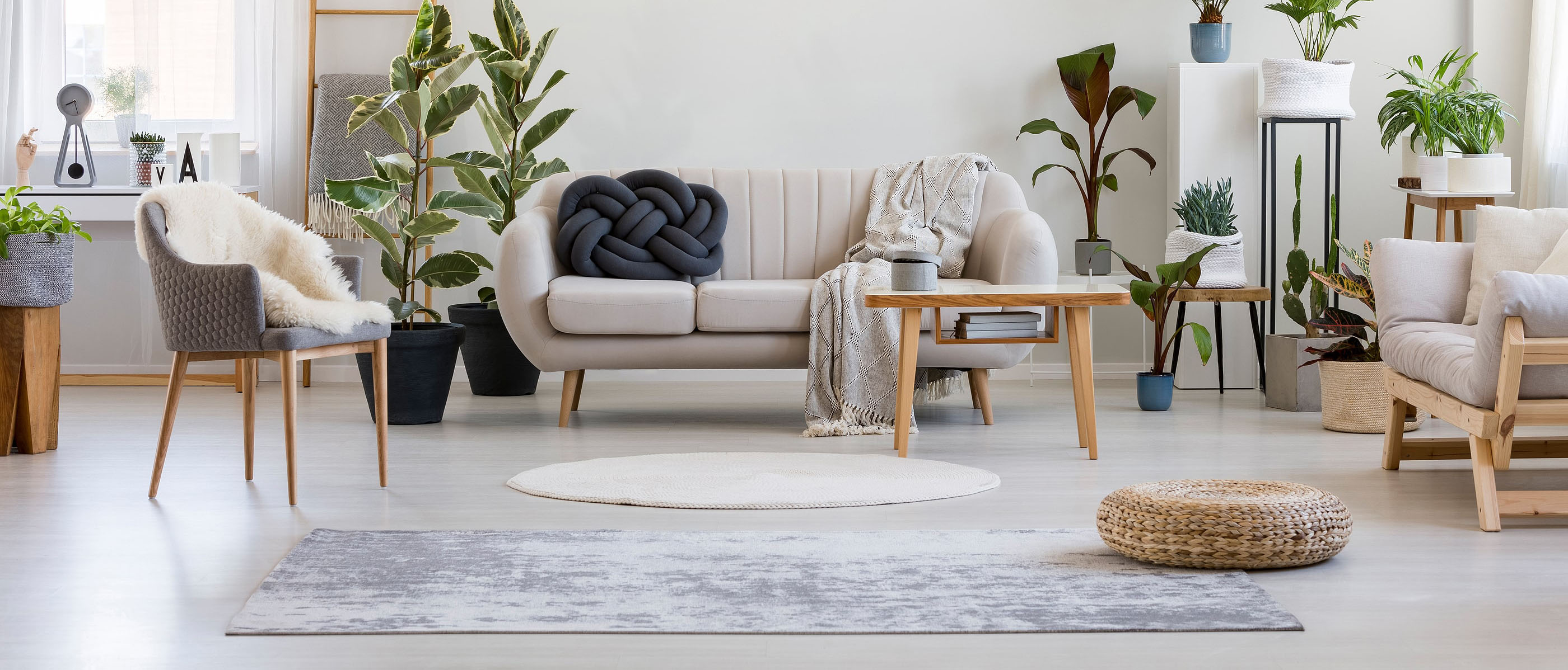 Property Management Banner